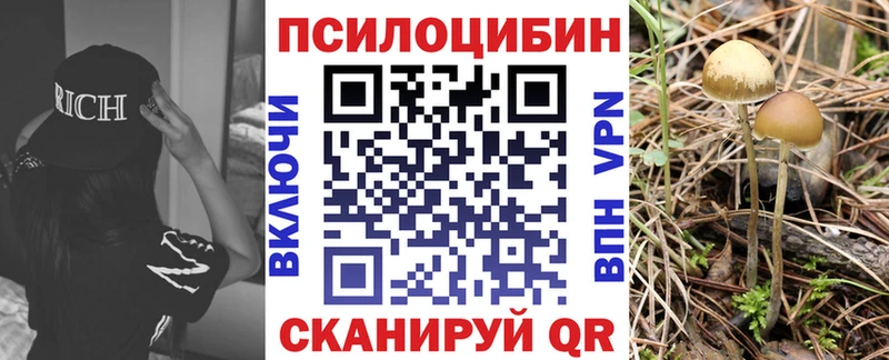 Псилоцибиновые грибы Magic Shrooms Ильский